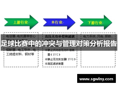 足球比赛中的冲突与管理对策分析报告